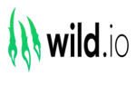 Wild.io casino logo from VPN Friendly Casinos